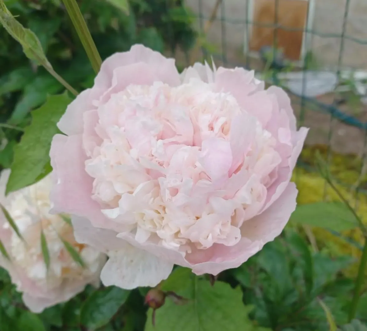 Holiday home Logis Des Pivoines Villa Trezelles