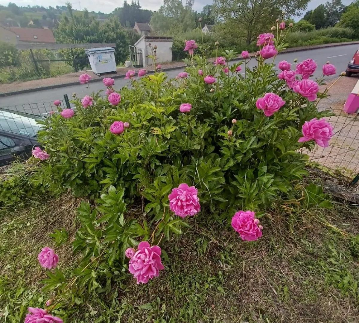 Logis Des Pivoines Villa Trezelles France